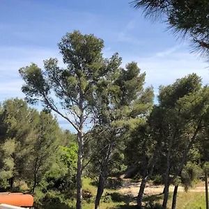 T3 Avec Grande Terrasse Et Jardin Sur Les Hauteurs De Appartement